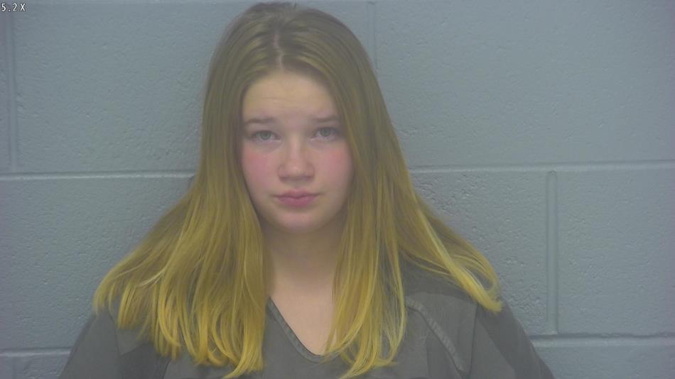 Arrest Photo of LILY BRYANT , arrested on 11/14/2024